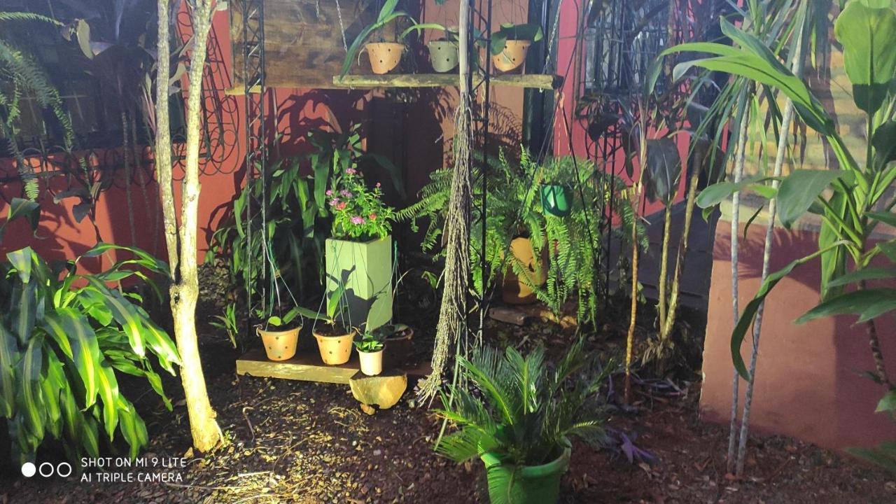Apart Del Huesped I Puerto Iguazu Ngoại thất bức ảnh
